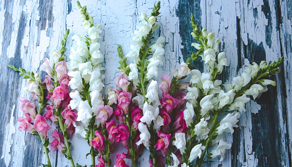 A colourful bouquet used in a fictional florist website design